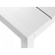 Tavolo da giardino Rio 140/210 Versione Piano Alluminio+Poltrona NET SALICE