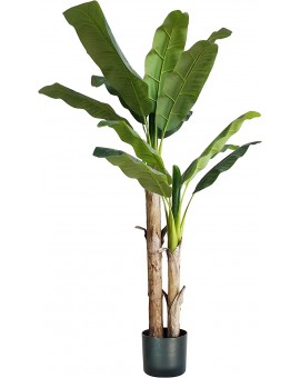 Pianta Artificiale Banano H170 cm con Vaso Verde